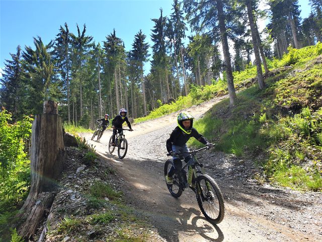 Sportchalet Viehhofen Ferienwohnungen